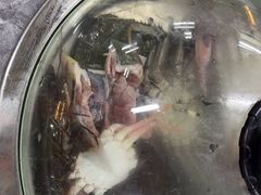 -争先鲜·蒸汽海鲜自助·鲜切牛肉