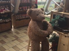 -济州岛泰迪熊博物馆