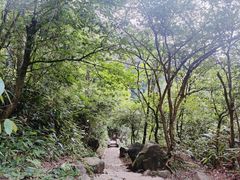 -大奇山国家森林公园