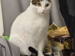 -万达广场(南京江宁店)