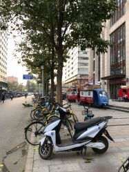 -苗塑堂减肥艾灸