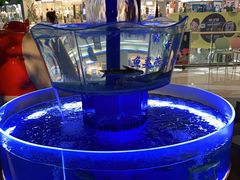 -佬麻雀·剁椒鱼头(京基KK One店)