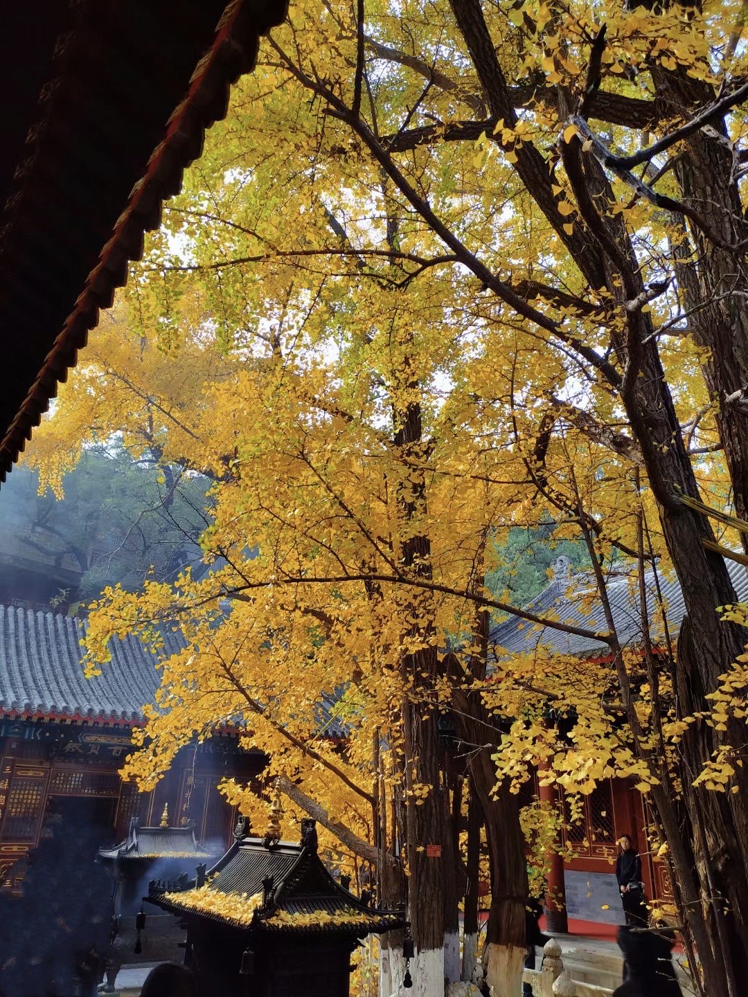 大悲寺北京图片