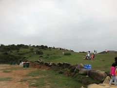 -大姆山草场