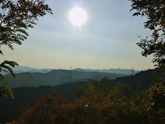 -原山国家森林公园