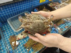 -隐厨·海鲜餐厅(恒通路店)