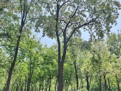 -亦庄创意生活广场