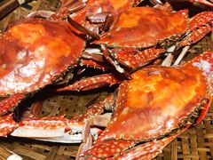 -旺角小渔村·海肠捞饭开创者(环山路店)