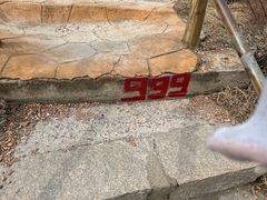 -金龙寺国家森林公园