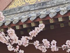 -桃花堤公园