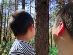 -白草畔自然风景区