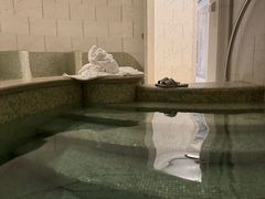 -丽思卡尔顿酒店泳池(金融街店)