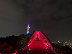 -金鸡山公园