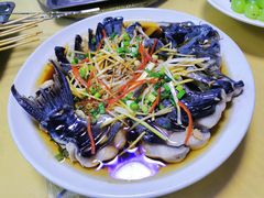 -煲来饱去冷水鱼
