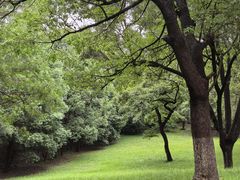 -方山风景区定林寺
