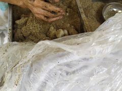 -叶氏麻糍(鼓浪屿店)