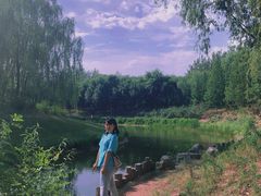 -大兴滨河森林公园