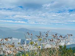 -狮子山郊野公园