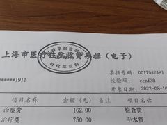 -上海市东方医院(总院)