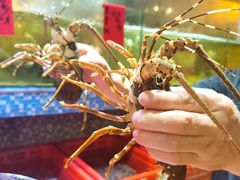 -巽寮印象美食部落餐厅·海鲜·地方特色菜(惠州体验店)