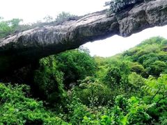 -终南山国家森林公园