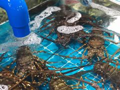 -三亚新鸿港水果一级批发市场