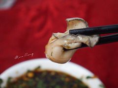 -花苑美食横琴生蚝火锅(拱北粤华路店)