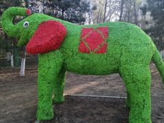 -长白岛森林公园