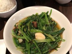 -新旺茶餐厅(嘉里城店)