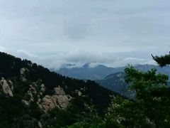 -沂蒙山旅游区云蒙景区(蒙山国家森林公园)