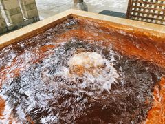 -春晖园度假酒店温泉