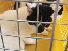 -宠颐生动物医院·心脏科·保险定点(锦阳分院)