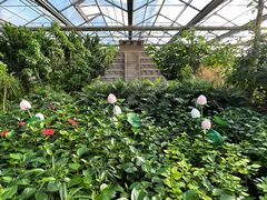 -南宫五洲植物乐园