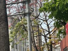 -珠江夜游省总码头
