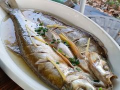 -丫丫蟹庄·苏式园林农家乐·阳澄湖大闸蟹(阳澄湖莲花岛店)