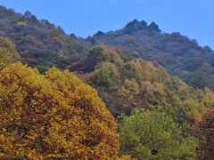 -秦岭终南山世界地质公园翠华山景区