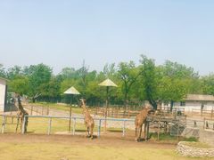 -西安秦岭野生动物园