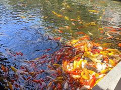 -番禺宾馆丽苑厅