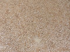-老雒阳面馆·水席(洛宁高速路口店)