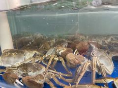 -阳澄湖大闸蟹·琼灵阁牌品牌连锁(吴中总店)