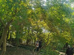 -秋霞圃