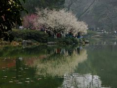 -杭州植物园