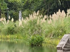 -长广溪湿地公园