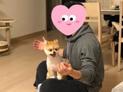 -爱侣宠医·鹦鹉专科·小型哺乳类·异宠专科(灵石路店)