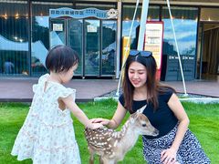 -云栖山谷野奢营地
