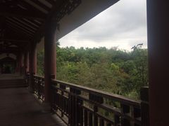 -张坝桂圆林公园