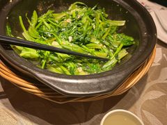 砂锅炒青菜-锦绣金山人家(友谊店)