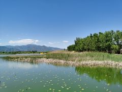 -野鸭湖国家湿地公园