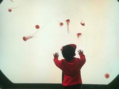 -沈阳海洋探索中心