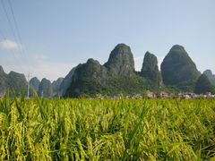 android_upload_pic-钟山水墨田园